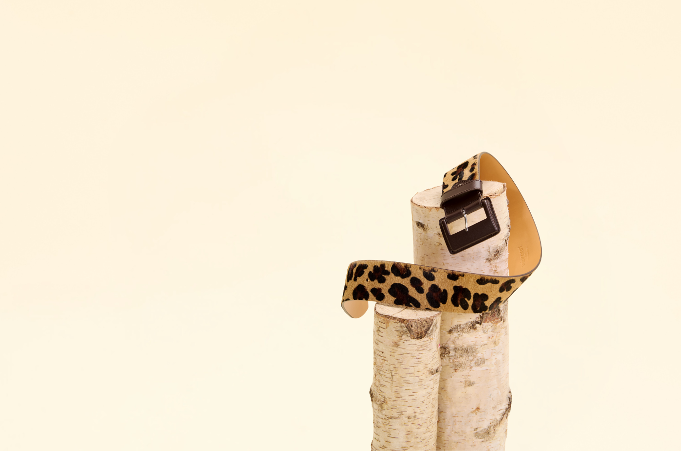 Nouvelle collection hiver: Collection Clous & cuirs Animaliers