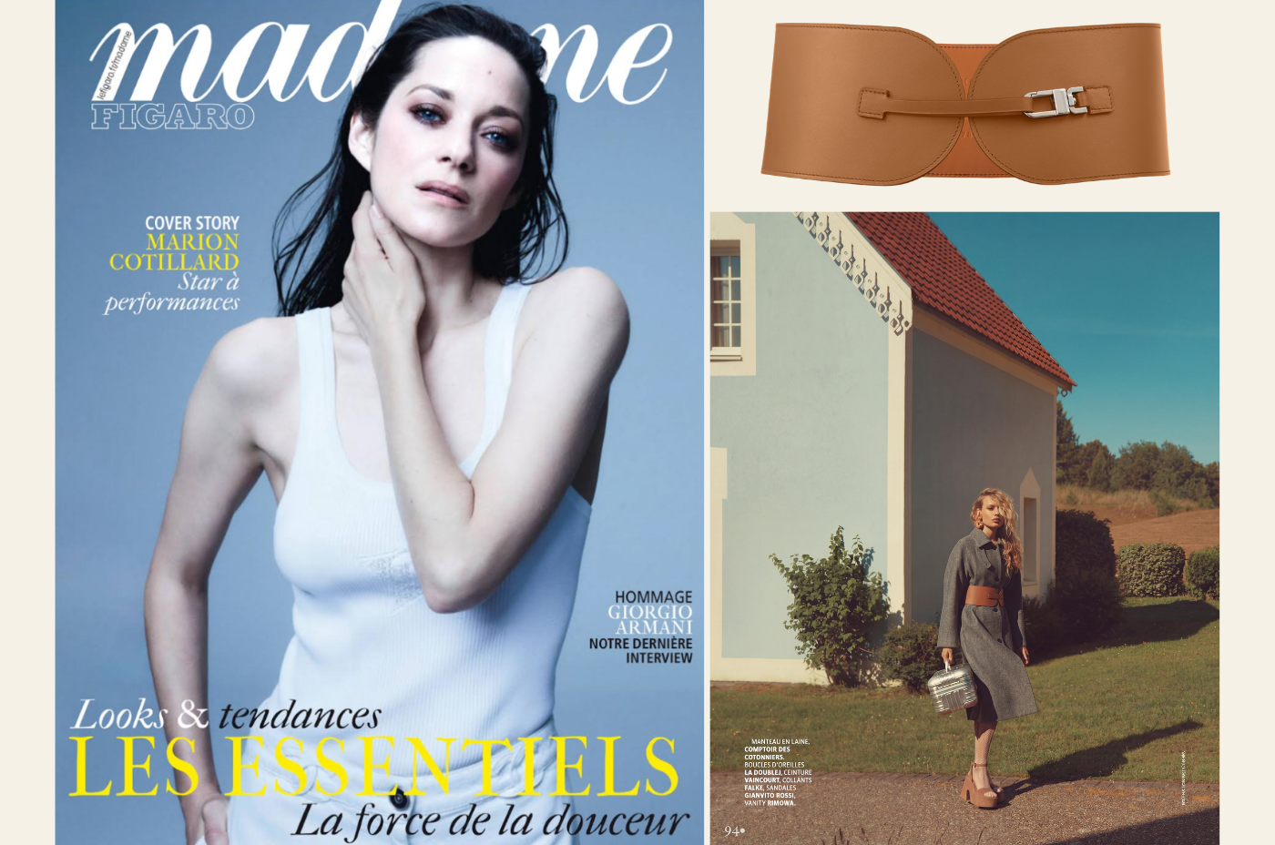 L'Éclat du Camel sur le Gris Souris