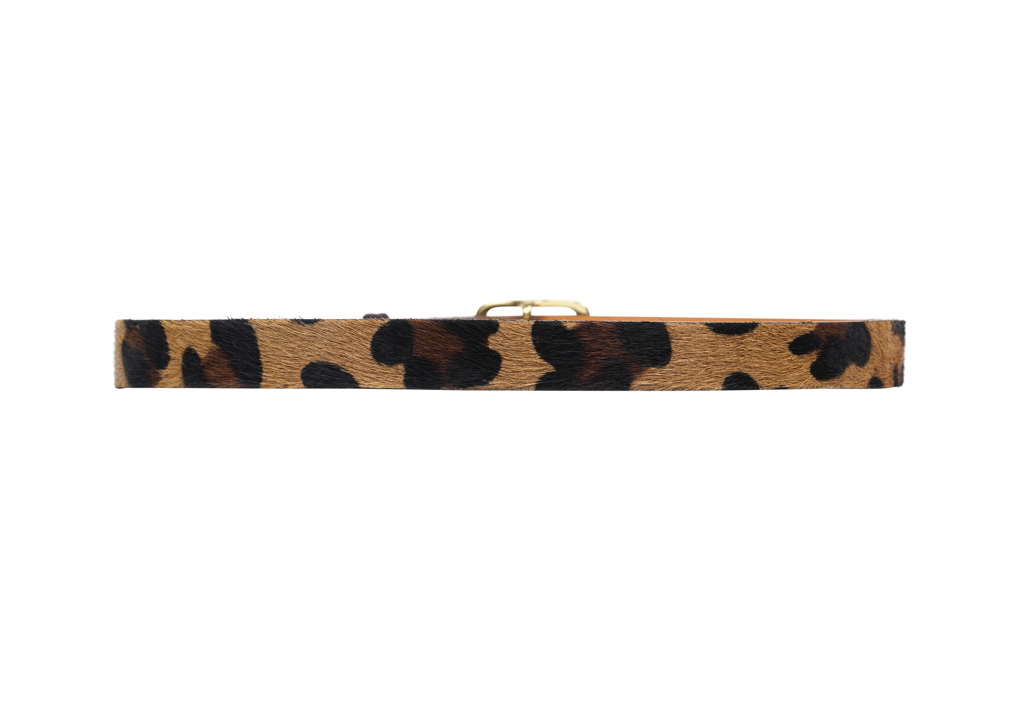 #couleur_leopard