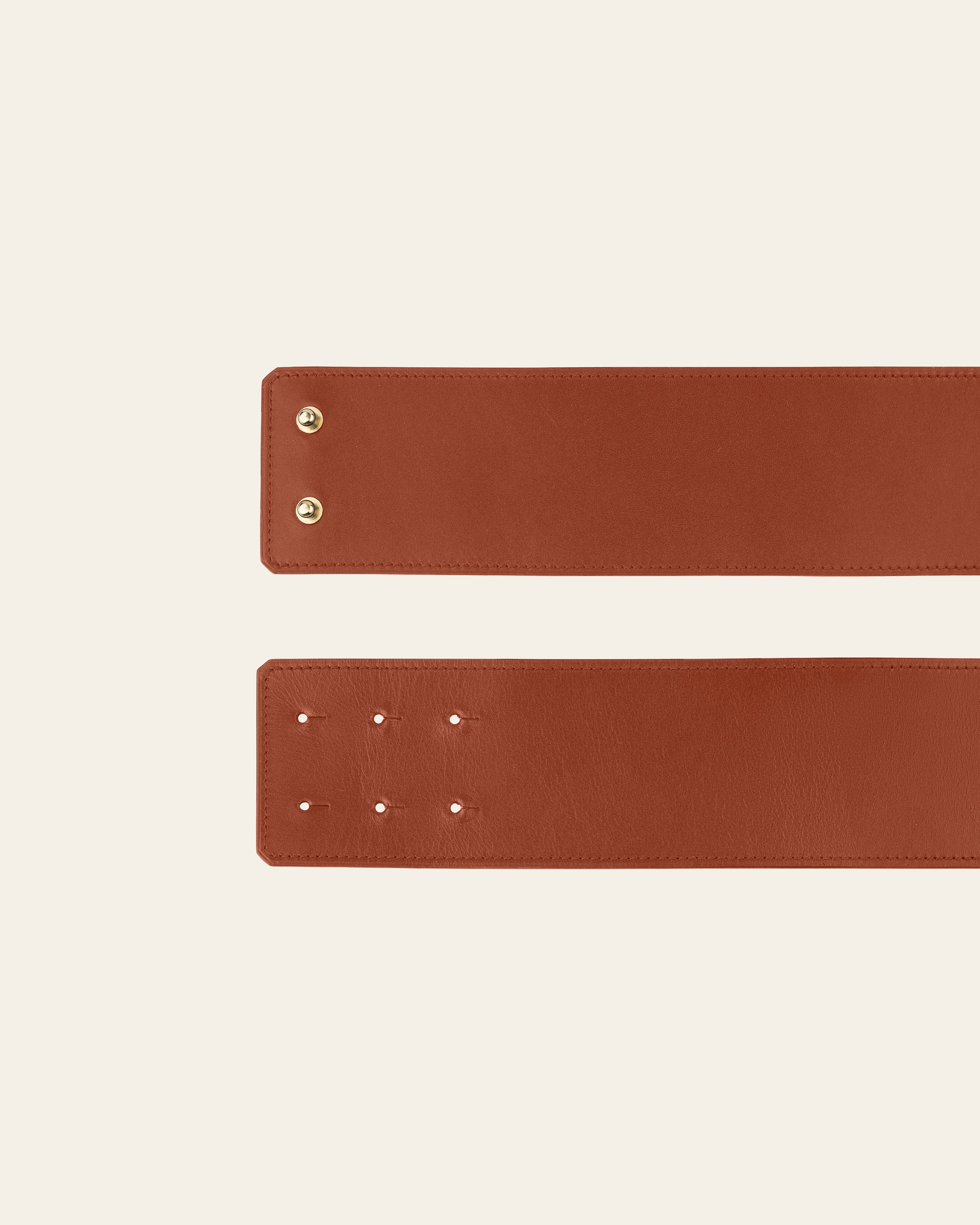 VS12 Belt Coral