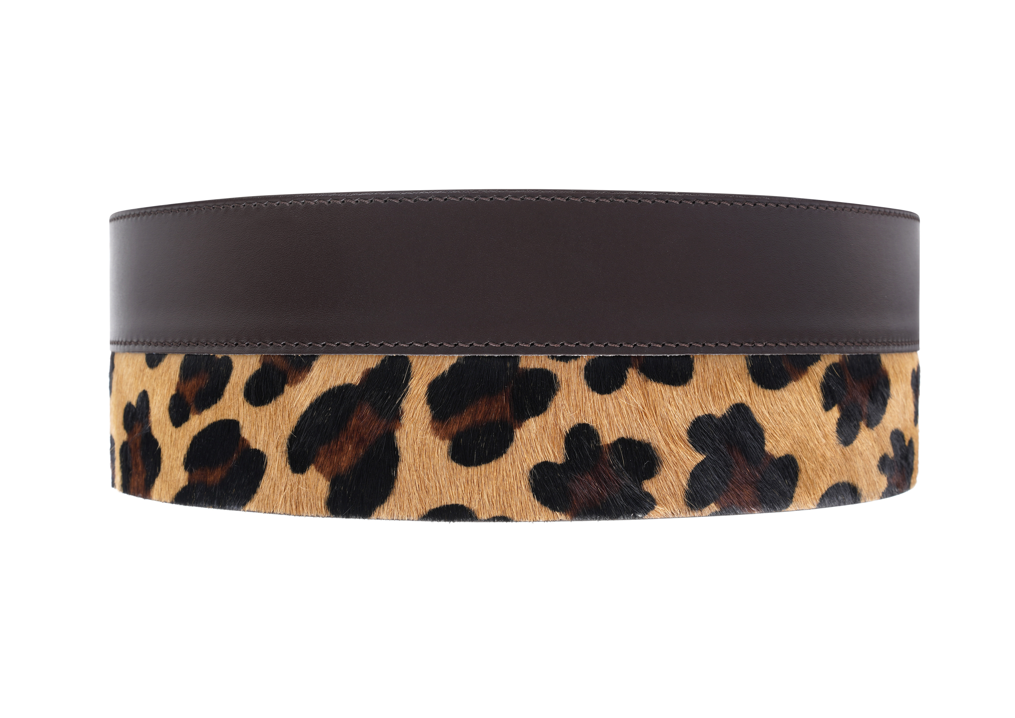 #couleur_leopard