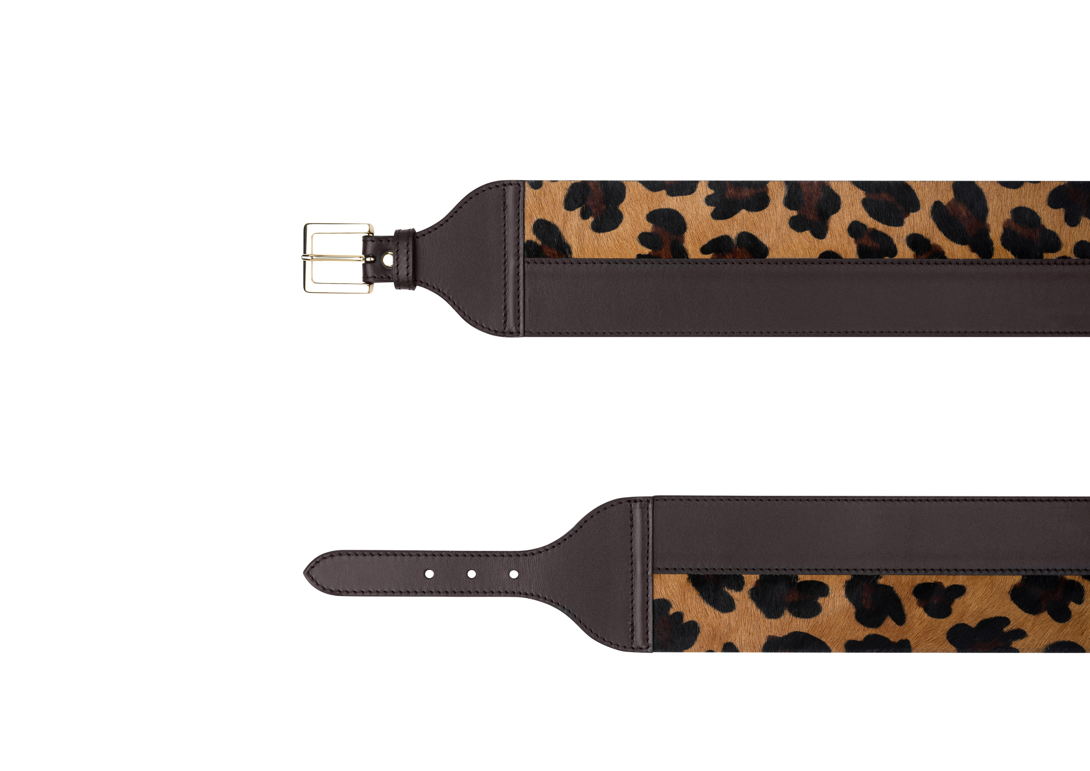 #couleur_leopard