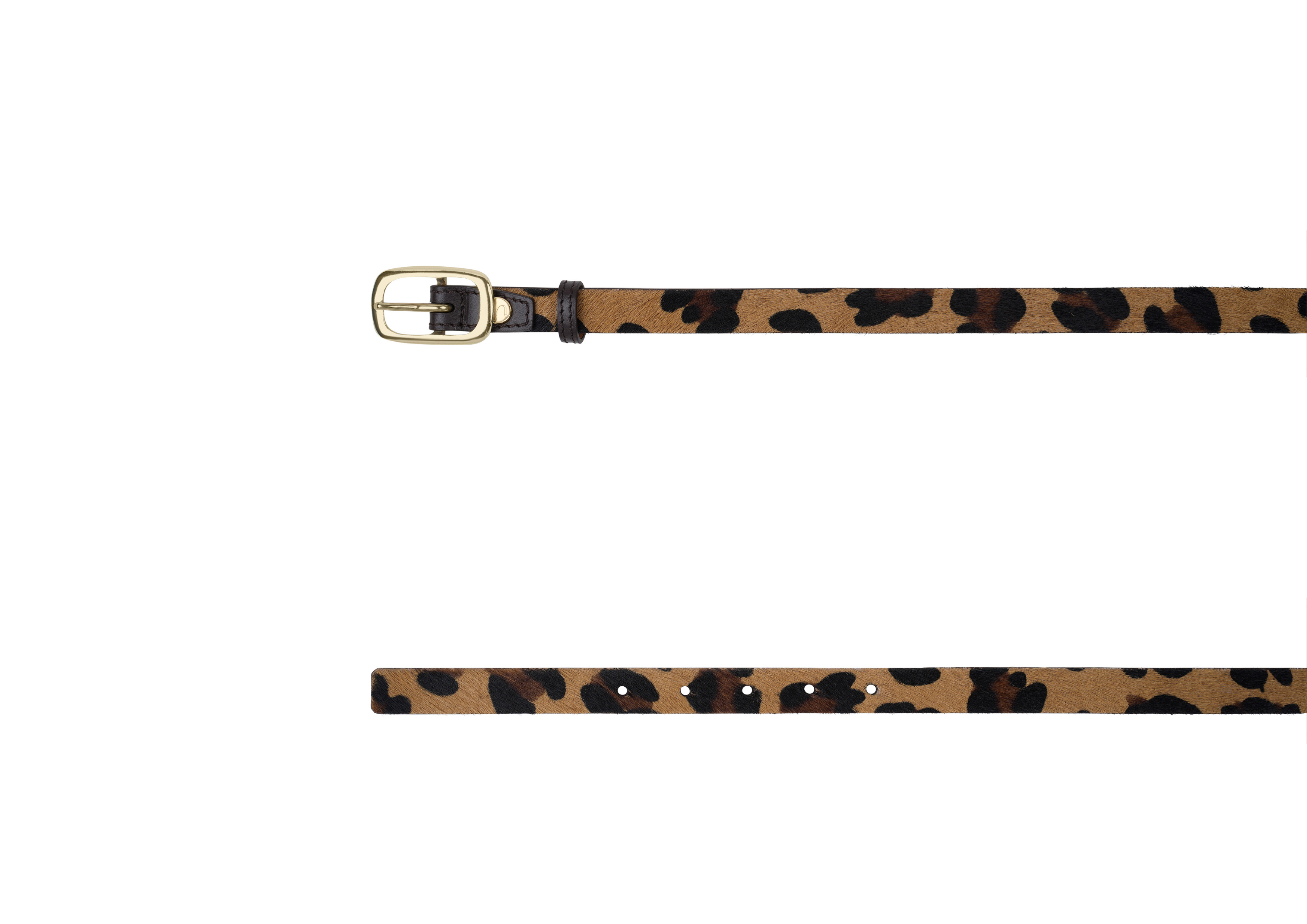 #couleur_leopard